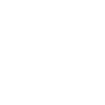 Porsche Logo