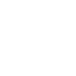 Skoda Logo