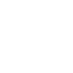 Suzuki Logo