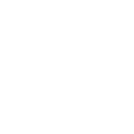 Toyota Logo