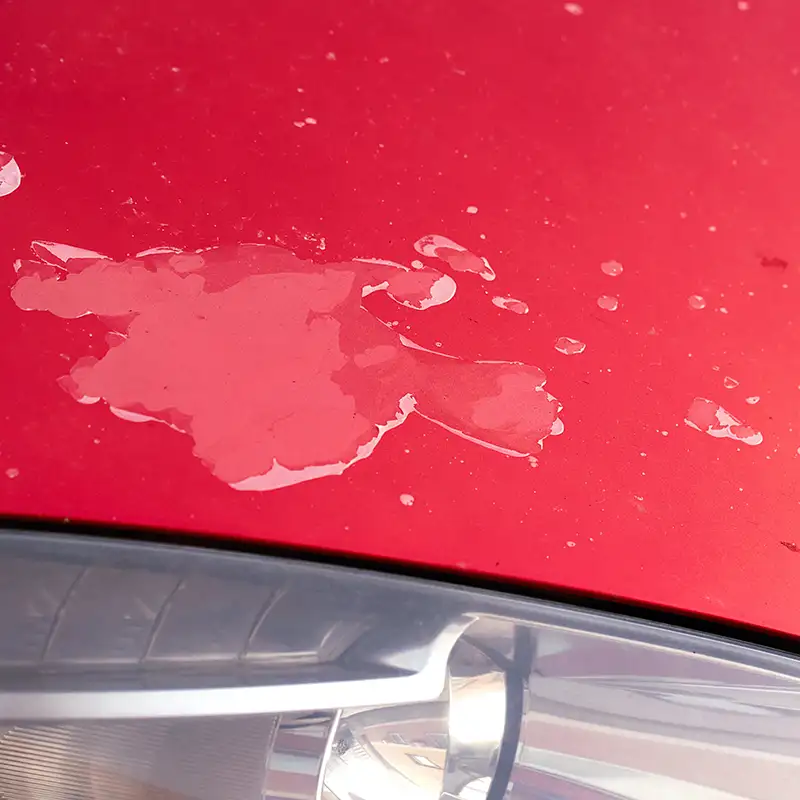 How to Repair Clear Coat & Lacquer Damage on Your Car Image